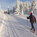 Mountain Paradise Tonale Дом отдыха *
