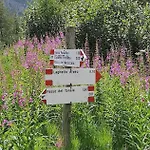 Mountain Paradise Tonale Дом отдыха Понте-ди-Леньо
