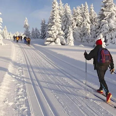 Mountain Paradise Tonale Holiday home *