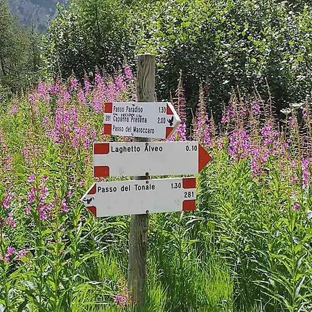 Mountain Paradise Tonale Prázdninový dům Ponte Di Legno